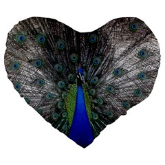 Peacock Bird Animals Pen Plumage Large 19  Premium Flano Heart Shape Cushions by Sapixe