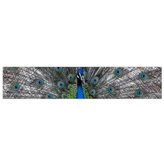 Peacock Bird Animals Pen Plumage Small Flano Scarf