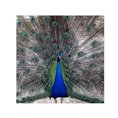 Peacock Bird Animals Pen Plumage Small Satin Scarf (square) by Sapixe