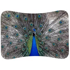 Peacock Bird Animals Pen Plumage Velour Seat Head Rest Cushion