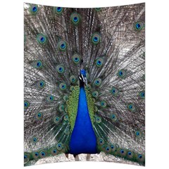 Peacock Bird Animals Pen Plumage Back Support Cushion by Sapixe