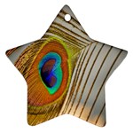 Peacock Feather Feather Bird Ornament (Star) Front