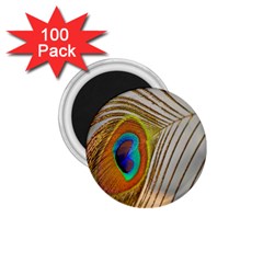 Peacock Feather Feather Bird 1 75  Magnets (100 Pack)  by Sapixe