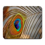 Peacock Feather Feather Bird Large Mousepads Front