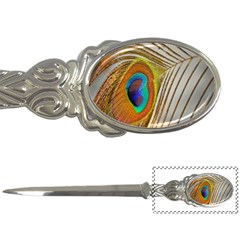 Peacock Feather Feather Bird Letter Opener by Sapixe