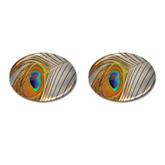 Peacock Feather Feather Bird Cufflinks (Oval)