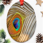 Peacock Feather Feather Bird Oval Ornament (Two Sides) Front