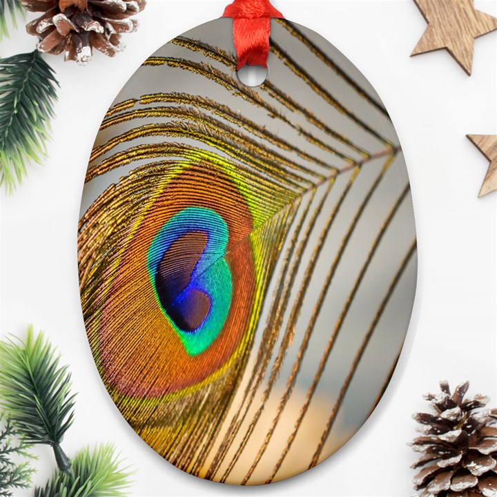 Peacock Feather Feather Bird Oval Ornament (Two Sides)