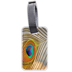 Peacock Feather Feather Bird Luggage Tags (two Sides) by Sapixe