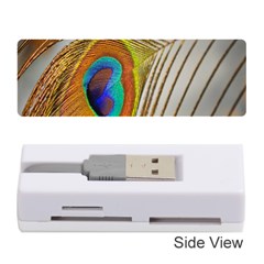 Peacock Feather Feather Bird Memory Card Reader (Stick)