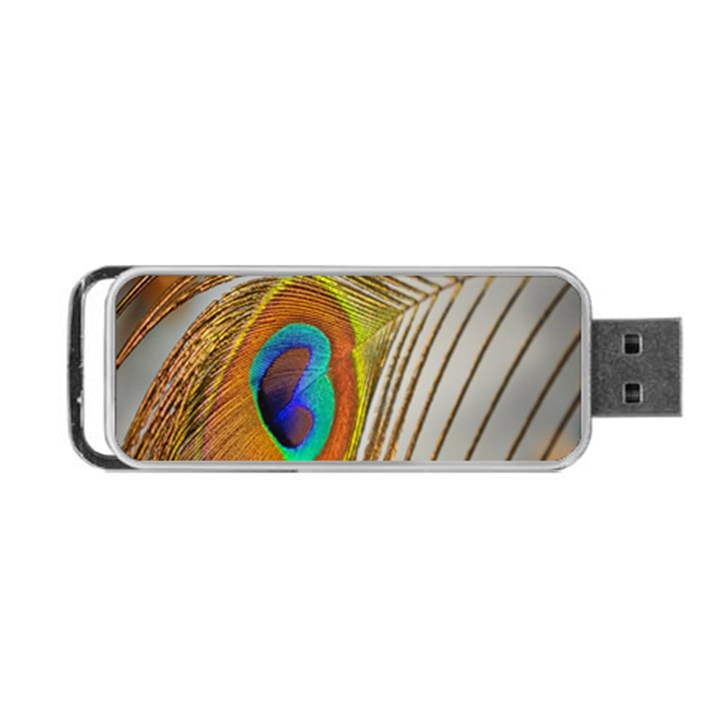 Peacock Feather Feather Bird Portable USB Flash (Two Sides)