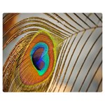 Peacock Feather Feather Bird Double Sided Flano Blanket (Medium)  60 x50  Blanket Front