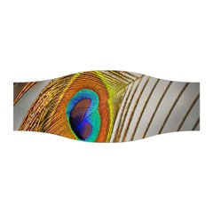 Peacock Feather Feather Bird Stretchable Headband