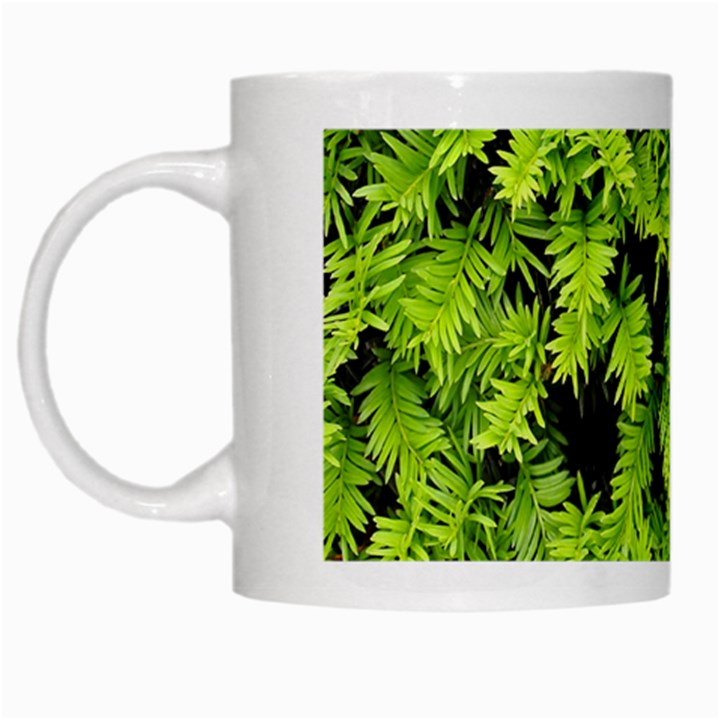 Green Hedge Texture Yew Plant Bush Leaf White Mugs