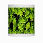 Green Hedge Texture Yew Plant Bush Leaf White Mugs Center