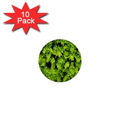 Green Hedge Texture Yew Plant Bush Leaf 1  Mini Buttons (10 Pack)  by Sapixe