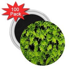 Green Hedge Texture Yew Plant Bush Leaf 2 25  Magnets (100 Pack)  by Sapixe