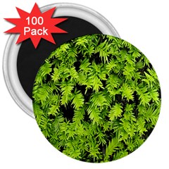 Green Hedge Texture Yew Plant Bush Leaf 3  Magnets (100 Pack) by Sapixe