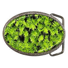 Green Hedge Texture Yew Plant Bush Leaf Belt Buckles by Sapixe