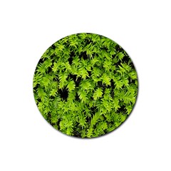 Green Hedge Texture Yew Plant Bush Leaf Rubber Round Coaster (4 Pack)  by Sapixe