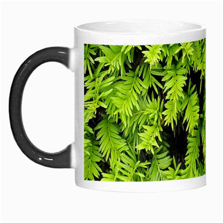 Green Hedge Texture Yew Plant Bush Leaf Morph Mugs