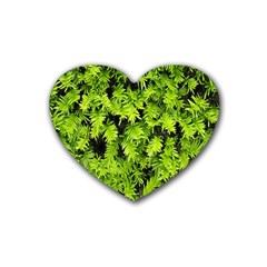 Green Hedge Texture Yew Plant Bush Leaf Heart Coaster (4 Pack)  by Sapixe