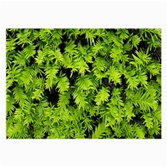 Green Hedge Texture Yew Plant Bush Leaf Large Glasses Cloth (2-side) by Sapixe