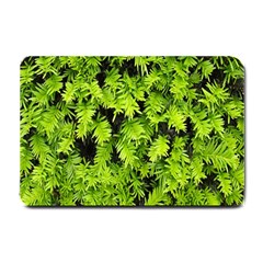 Green Hedge Texture Yew Plant Bush Leaf Small Doormat  by Sapixe