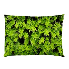 Green Hedge Texture Yew Plant Bush Leaf Pillow Case (two Sides) by Sapixe