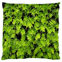 Green Hedge Texture Yew Plant Bush Leaf Standard Flano Cushion Case (two Sides) by Sapixe