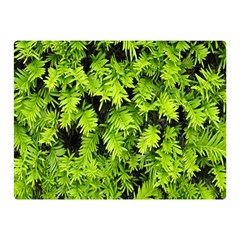 Green Hedge Texture Yew Plant Bush Leaf Double Sided Flano Blanket (mini)  by Sapixe