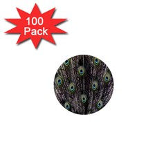 Background Peacock Feathers 1  Mini Buttons (100 Pack)  by Sapixe