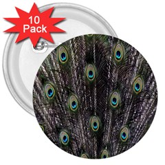 Background Peacock Feathers 3  Buttons (10 Pack)  by Sapixe