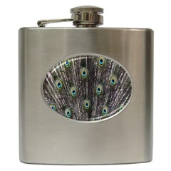 Background Peacock Feathers Hip Flask (6 Oz) by Sapixe