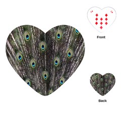 Background Peacock Feathers Playing Cards (heart)