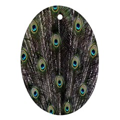 Background Peacock Feathers Oval Ornament (two Sides) by Sapixe