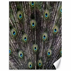 Background Peacock Feathers Canvas 18  X 24  by Sapixe