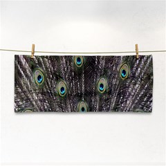 Background Peacock Feathers Hand Towel by Sapixe