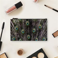 Background Peacock Feathers Cosmetic Bag (small) by Sapixe