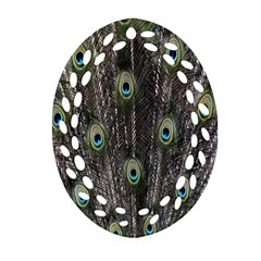 Background Peacock Feathers Oval Filigree Ornament (two Sides) by Sapixe