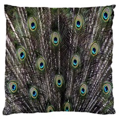 Background Peacock Feathers Large Cushion Case (one Side) by Sapixe