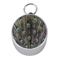 Background Peacock Feathers Mini Silver Compasses by Sapixe