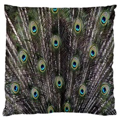 Background Peacock Feathers Standard Flano Cushion Case (one Side)