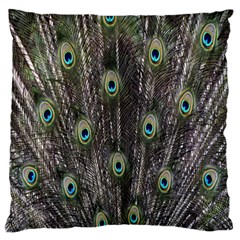 Background Peacock Feathers Large Flano Cushion Case (one Side) by Sapixe