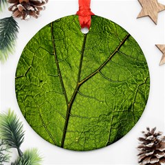 Butterbur Leaf Plant Veins Pattern Ornament (round) by Sapixe