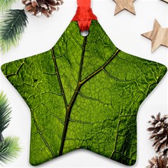 Butterbur Leaf Plant Veins Pattern Ornament (star)