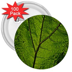 Butterbur Leaf Plant Veins Pattern 3  Buttons (100 Pack)  by Sapixe