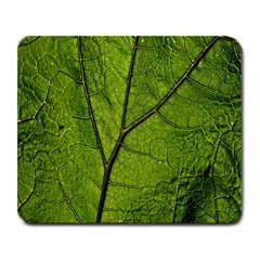 Butterbur Leaf Plant Veins Pattern Large Mousepads by Sapixe