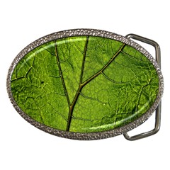 Butterbur Leaf Plant Veins Pattern Belt Buckles by Sapixe