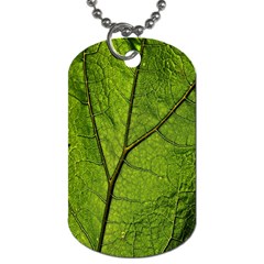 Butterbur Leaf Plant Veins Pattern Dog Tag (two Sides) by Sapixe